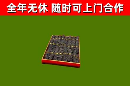 盐池烟酒回收海参.jpg